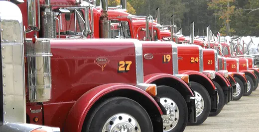 Palumbo trucking fleet
